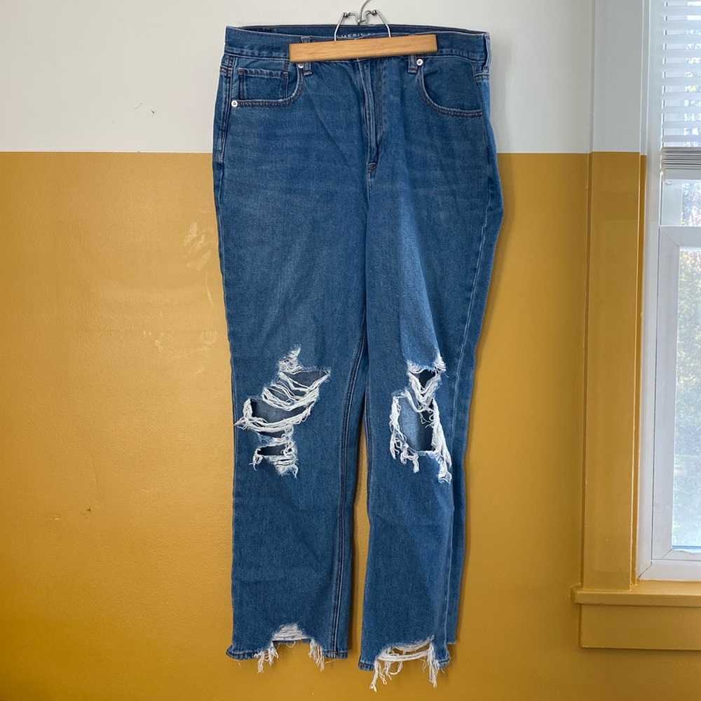 American Eagle Destroyed Mom Jean
